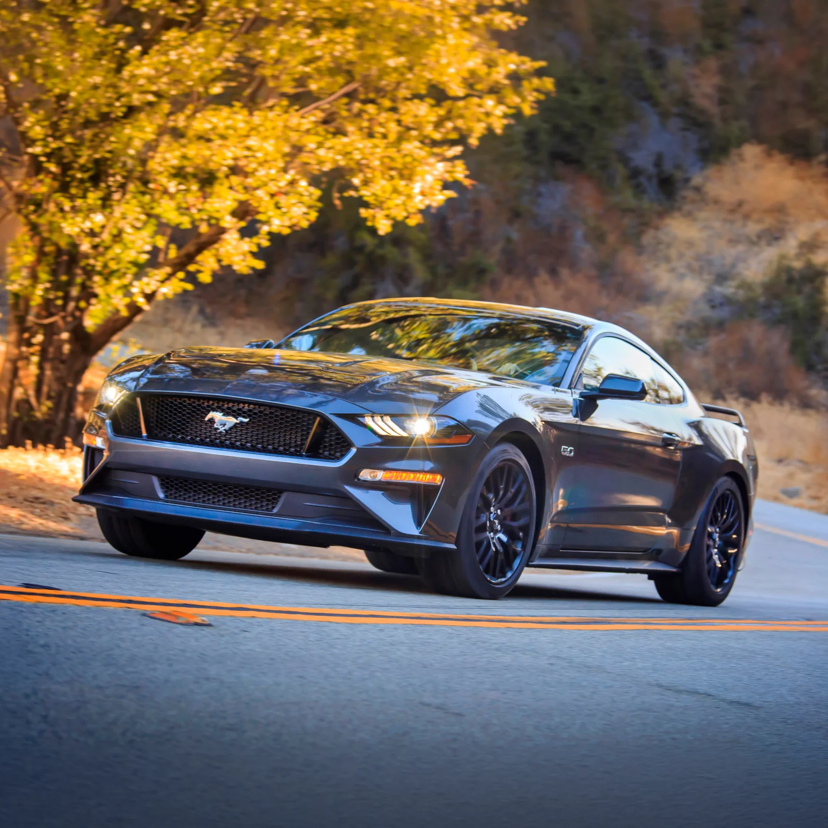 FORD MUSTANG® - SHADOW BLACK - Image 15